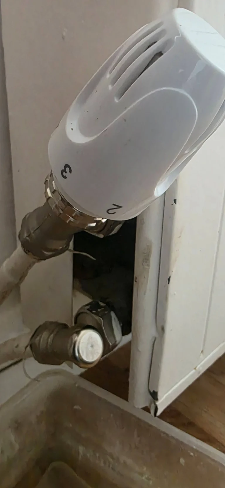 Tête thermostatique installée sur un radiateur à Petit-Caux